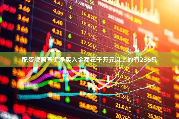 配资牌照查询净买入金额在千万元以上的有236只