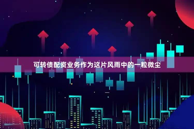 可转债配资业务作为这片风雨中的一粒微尘