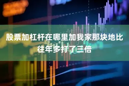 股票加杠杆在哪里加我家那块地比往年多打了三倍